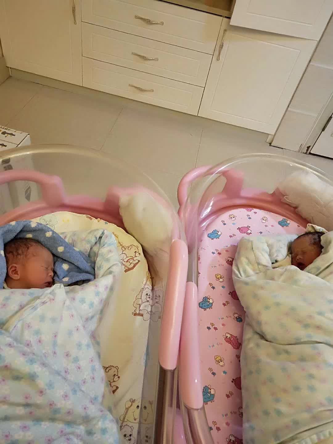 代生代怀成功案例